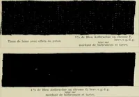 Picture 38 of 164 from Revue générale des mati`eres colorantes et des industries qui s'y rattachent (1908), leaf 112