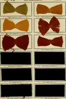Picture 41 of 164 from Revue générale des mati`eres colorantes et des industries qui s'y rattachent (1908), leaf 148