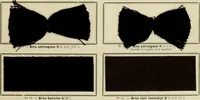 Picture 3 of 164 from Revue générale des mati`eres colorantes et des industries qui s'y rattachent (1908), leaf 16