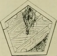 Picture 77 of 164 from Revue générale des mati`eres colorantes et des industries qui s'y rattachent (1908), leaf 297