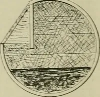 Picture 78 of 164 from Revue générale des mati`eres colorantes et des industries qui s'y rattachent (1908), leaf 297