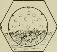 Picture 85 of 164 from Revue générale des mati`eres colorantes et des industries qui s'y rattachent (1908), leaf 302