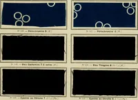 Picture 111 of 164 from Revue générale des mati`eres colorantes et des industries qui s'y rattachent (1908), leaf 334