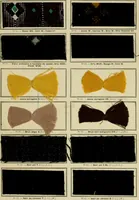 An illustration from Revue générale des mati`eres colorantes et des industries qui s'y rattachent (1908)