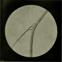 Picture 65 of 79 from Revue générale des mati`eres colorantes et des industries qui s'y rattachent (1908), leaf 393