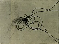 Picture 66 of 79 from Revue générale des mati`eres colorantes et des industries qui s'y rattachent (1908), leaf 393