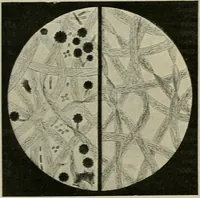 An illustration from Revue générale des mati`eres colorantes et des industries qui s'y rattachent (1908)