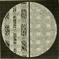 An illustration from Revue générale des mati`eres colorantes et des industries qui s'y rattachent (1908)