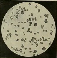 An illustration from Revue générale des mati`eres colorantes et des industries qui s'y rattachent (1908)