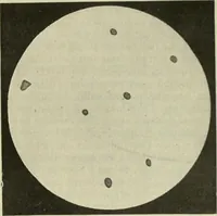 An illustration from Revue générale des mati`eres colorantes et des industries qui s'y rattachent (1908)
