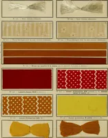 An illustration from Revue générale des matières colorantes et de leurs applications aux textiles (1908)