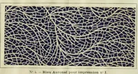 Picture 83 of 103 from Revue générale des matières colorantes et de leurs applications aux textiles (1908), leaf 390