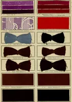 An illustration from Revue générale des matières colorantes et de leurs applications aux textiles (1908)