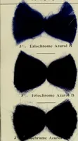 An illustration from Revue générale des matières colorantes et de leurs applications aux textiles (1908)