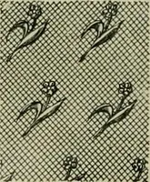 An illustration from Revue générale des matières colorantes et de leurs applications aux textiles (1908)
