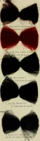 An illustration from Revue générale des matières colorantes et de leurs applications aux textiles (1908)