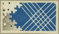 Picture 69 of 97 from Revue générale des matières colorantes et de leurs applications aux textiles (1908), leaf 248