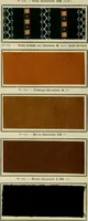 An illustration from Revue générale des matières colorantes et de leurs applications aux textiles (1908)