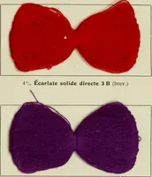 An illustration from Revue générale des matières colorantes et de leurs applications aux textiles (1908)