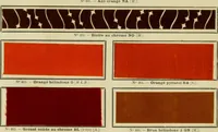 Picture 84 of 99 from Revue générale des matières colorantes et de leurs applications aux textiles (1908), leaf 354
