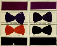 An illustration from Revue générale des matières colorantes et de leurs applications aux textiles (1908)