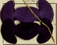 An illustration from Revue générale des matières colorantes et de leurs applications aux textiles (1908)