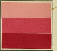 An illustration from Revue générale des matières colorantes et de leurs applications aux textiles (1908)
