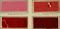An illustration from Revue générale des matières colorantes de la teinture, de l'impression et des apprêts (1910)