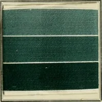 Picture 53 of 69 from Revue générale des matières colorantes de la teinture, de l'impression et des apprêts (1910), leaf 212
