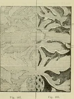 An illustration from Revue générale des mati`eres colorantes et des industries qui s'y rattachent (1908)