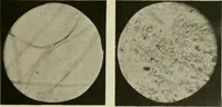 An illustration from Revue générale des mati`eres colorantes et des industries qui s'y rattachent (1908)