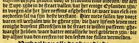 An illustration from Reys-boeck van het rijcke Brasilien, Rio de la Plata ende Magallanes, : daer in te sien is, de gheleghentheyt van hare landen ende steden, haren handel ende wandel, met de vruchten ende vruchbaerheyt der selver: alles met copere platen uytghebeelt. Als oock de leste reyse van den Heer van Dort, met het veroveren vande Baeye de Todos los Santos, (1624)