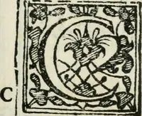 An illustration from Rhetorica christiana : ad concionandi et orandi vsvm accommodata, vtrivsq[ue] facvltatis exemplis svo loco insertis : qvae qvidem ex Indorvm maximè deprompta svnt historiis : vnde praeter doctrinam, svma qvoqve delectatio comparabitvr (1579)