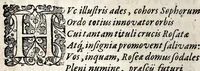 An illustration from Rhodologia, seu, Philosophico-medica generosae rosae descriptio : flosculis philosophicis, philolog. philiatr. arcanis politicis, chym. etc. adornata (1628)