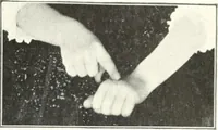 An illustration from Rhymes for little hands (1906)