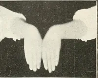An illustration from Rhymes for little hands (1906)