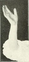 An illustration from Rhymes for little hands (1906)
