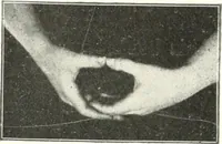 An illustration from Rhymes for little hands (1906)