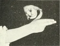 Picture 85 of 132 from Rhymes for little hands (1906), leaf 110