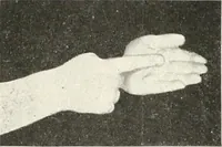 Picture 92 of 132 from Rhymes for little hands (1906), leaf 119