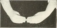 An illustration from Rhymes for little hands (1906)
