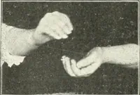An illustration from Rhymes for little hands (1906)