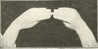 Picture 105 of 132 from Rhymes for little hands (1906), leaf 133