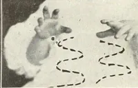 Picture 112 of 132 from Rhymes for little hands (1906), leaf 143