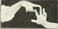 Picture 117 of 132 from Rhymes for little hands (1906), leaf 149