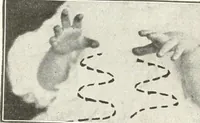 Picture 121 of 132 from Rhymes for little hands (1906), leaf 157