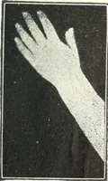 An illustration from Rhymes for little hands (1906)