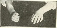 An illustration from Rhymes for little hands (1906)