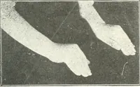 An illustration from Rhymes for little hands (1906)