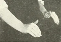 An illustration from Rhymes for little hands (1906)